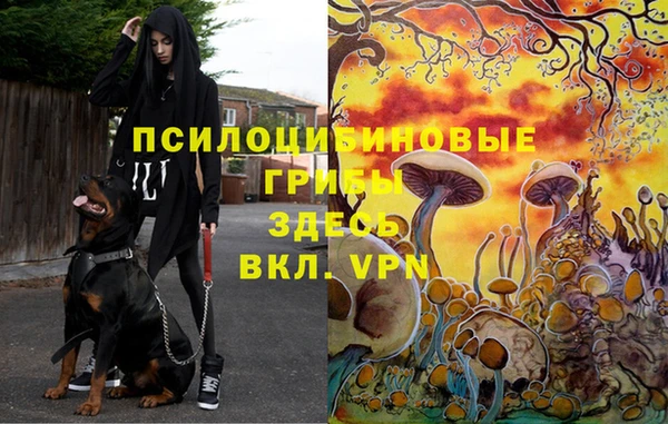 спайс Верхний Тагил