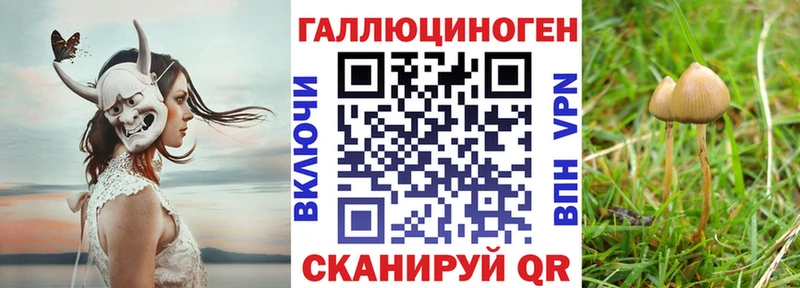 наркота  Туймазы  Псилоцибиновые грибы Magic Shrooms 
